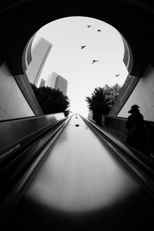 Ascending in Black and White -- Woman on Escalator in a Subway Station in Los Angeles, California Photograph by Darin Volpe