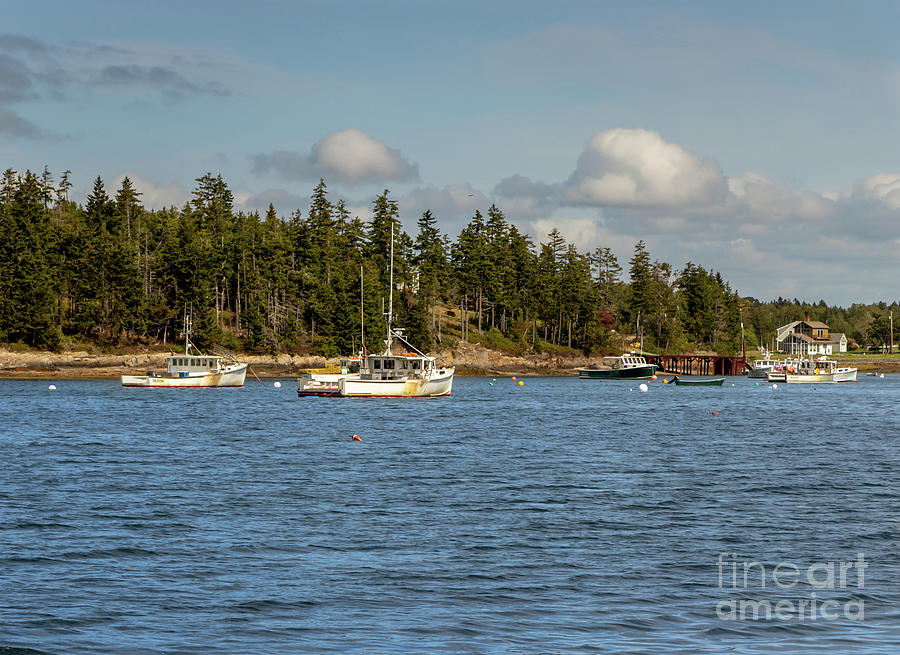 Ash Point Cove South Harpswell Maine Photograph by Elizabeth Dow