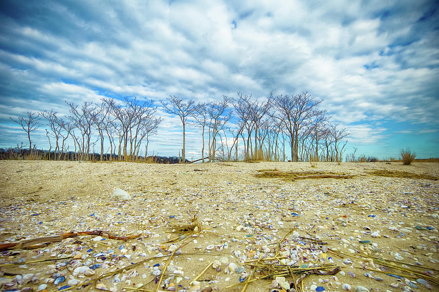 Asharoken Beach, Long Island Photograph by Eugene Nikiforov