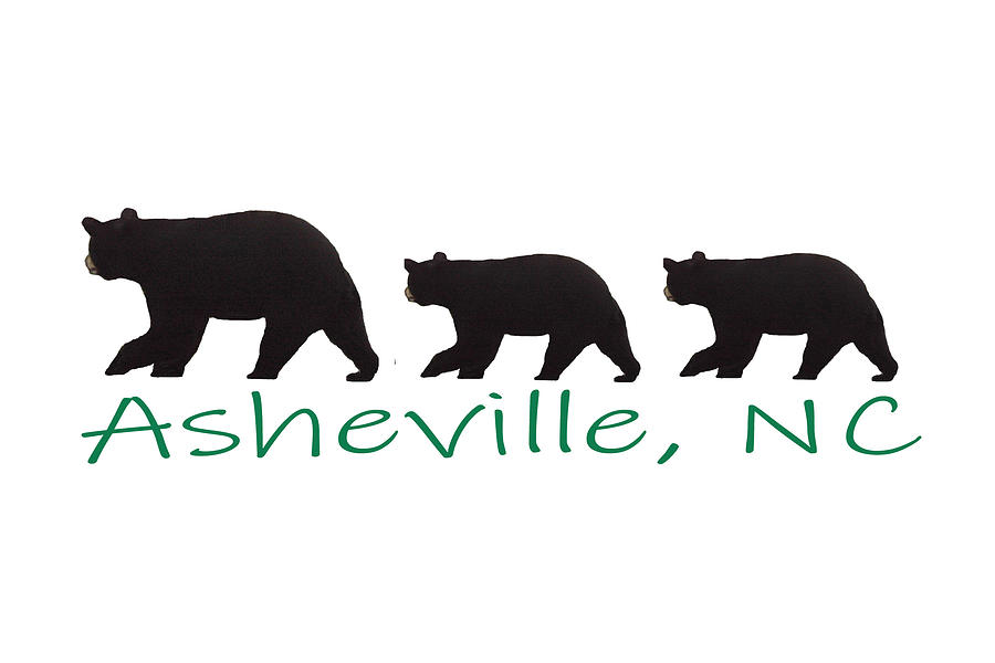 Asheville Bears Photograph by Pat Kenyon Pixels