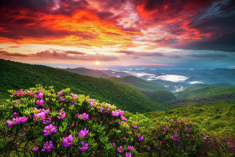 Spring Photograph - Asheville North Carolina Blue Ridge Parkway Scenic Sunset Landscape by Dave Allen