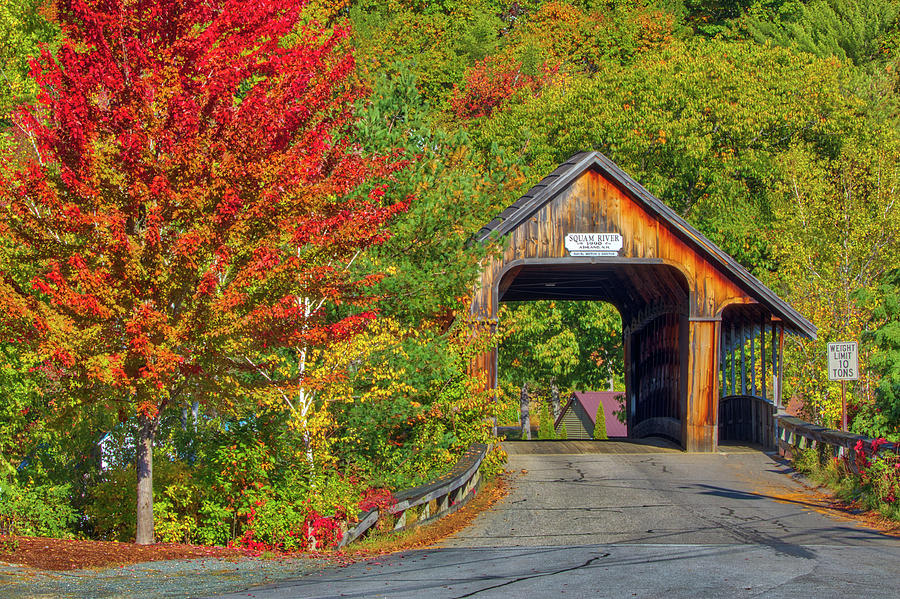 Ashland Covered Bridge Photograph by Juergen Roth