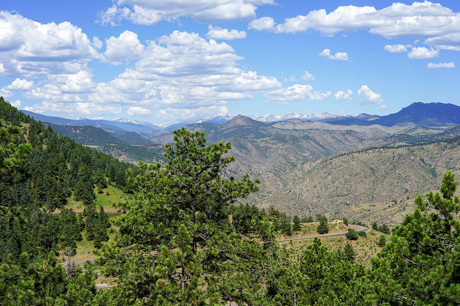 Ashley National Forest Ut Photograph by Cathy Anderson - Pixels