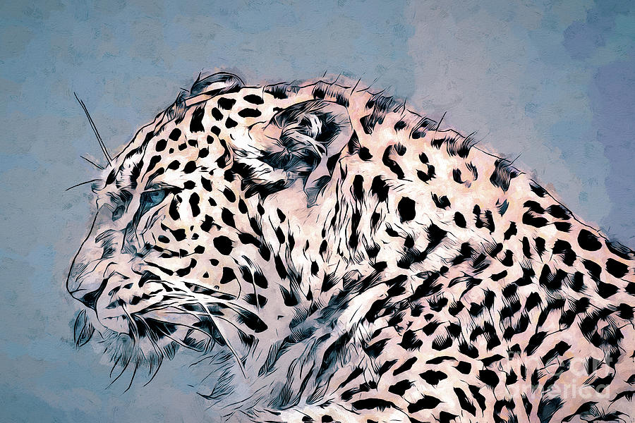 Amur Leopard Portrait Photograph by Philip Preston