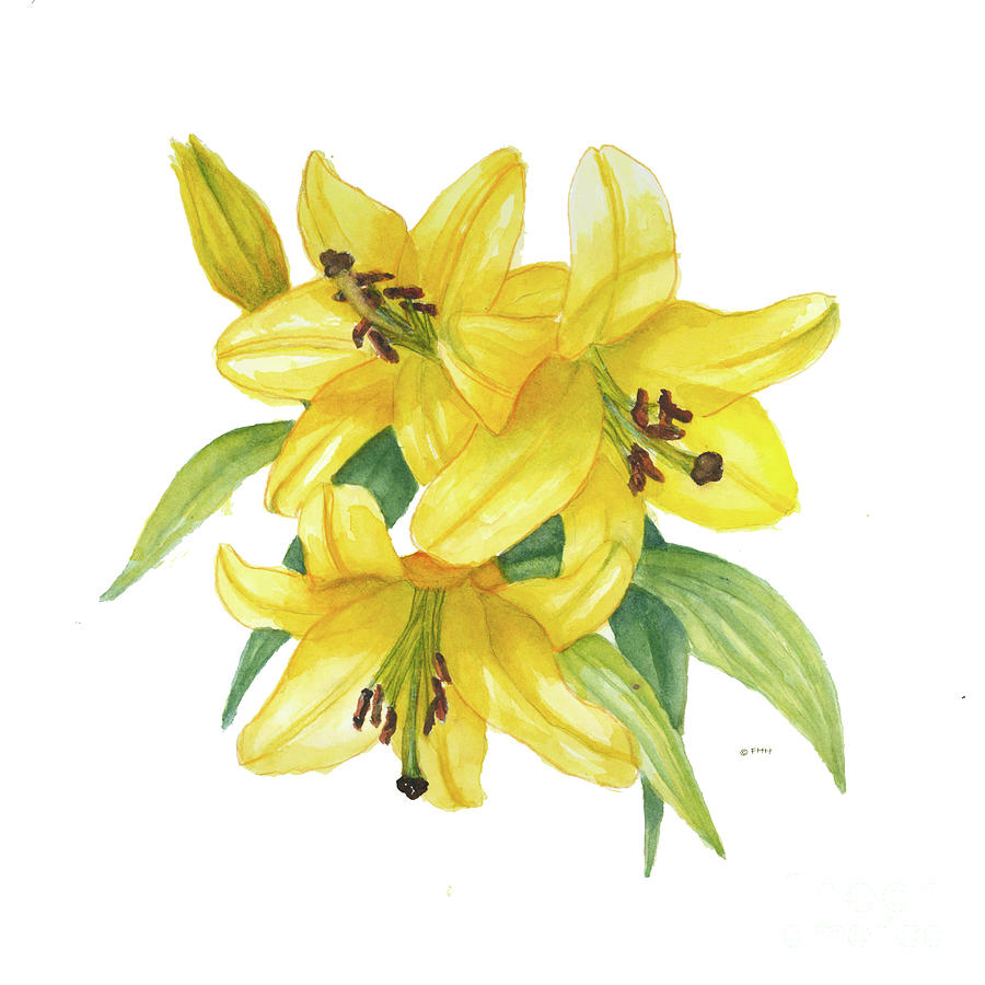 Asian Lilies Painting by Fran Henig