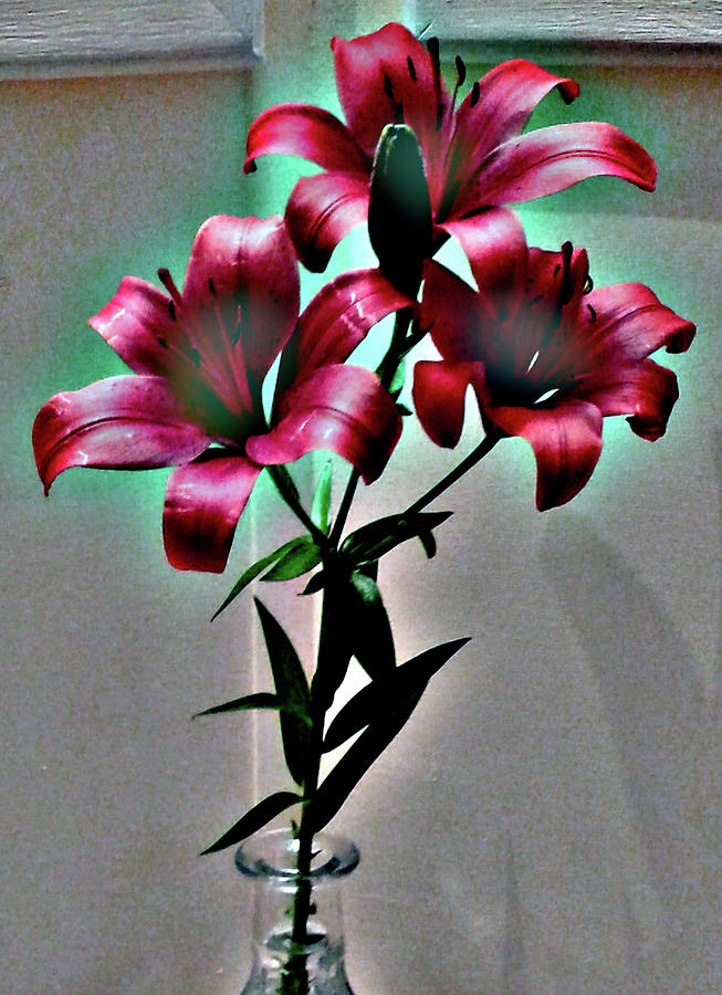 Asian Lilies In A Vase Abstract Photograph
