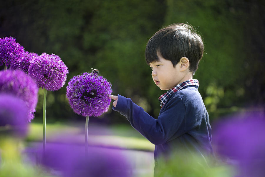 Asian toddler boy looking at a bee on flower. Photograph by Twomeows