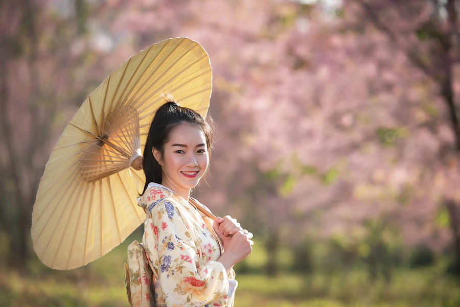 Asian women wear Japanese kimonos and cherry blossoms in spring Mixed ...