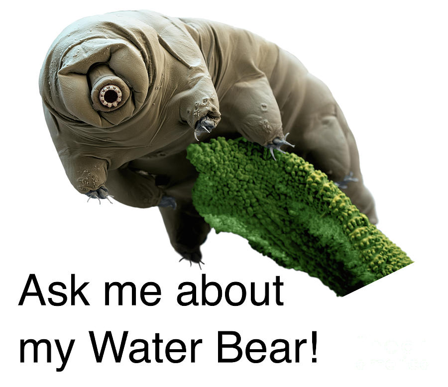 Ask Me About My Water Bear Photograph by Eye of Science