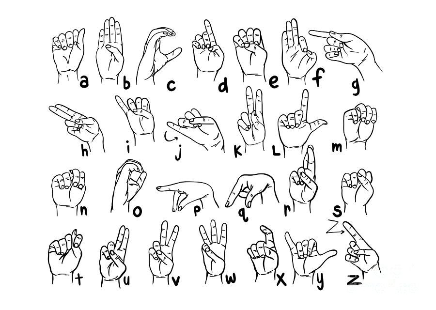 ASL Chart Digital Art by Rachel Barrett - Fine Art America