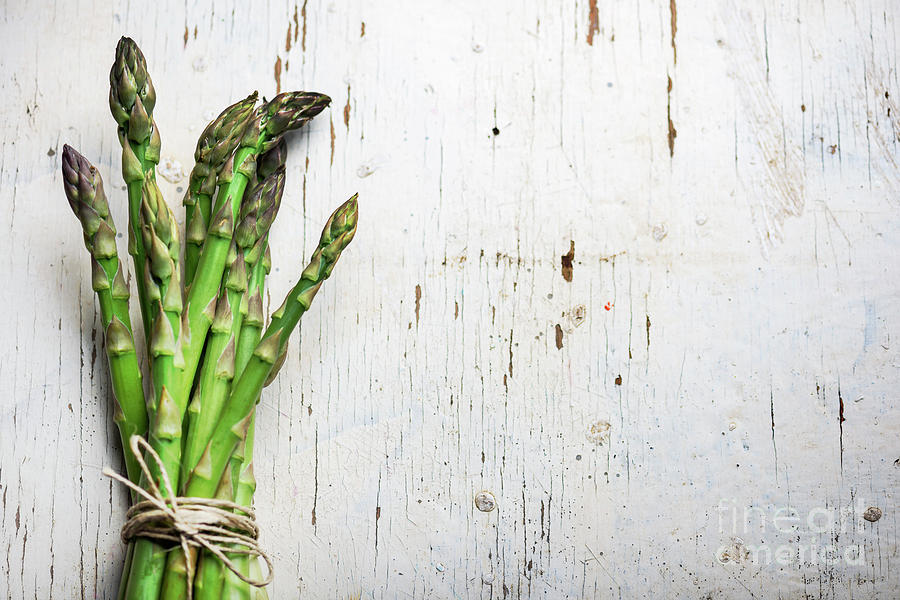 Asparagus Photograph - Asparagus by Jelena Jovanovic