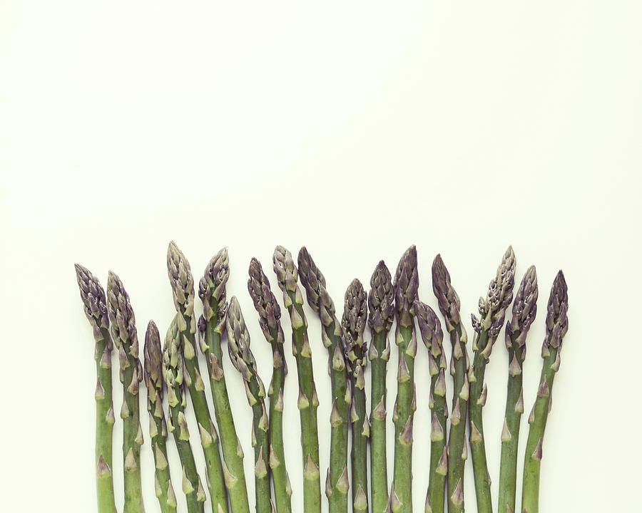 Asparagus Photograph by Lupen Grainne