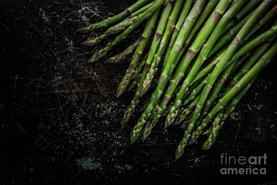 Asparagus No. 1 Photograph by Jarrod Erbe