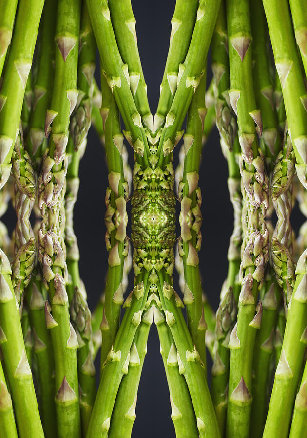 Asparagus Photograph by Silvia Otte