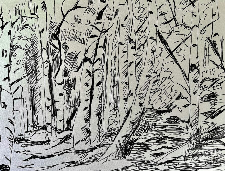 Aspen Drawing #8 Drawing by Carolyn Alston Thomas | Pixels