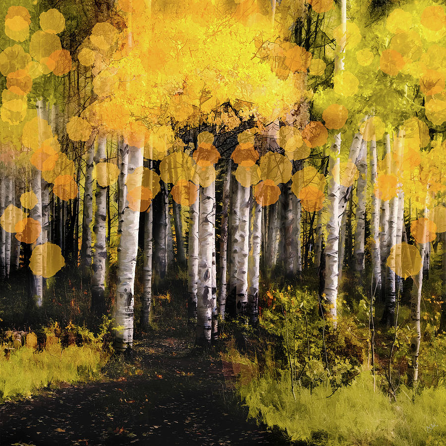 Aspen Forest Digital Art by Barbara Mierau-Klein | Fine Art America