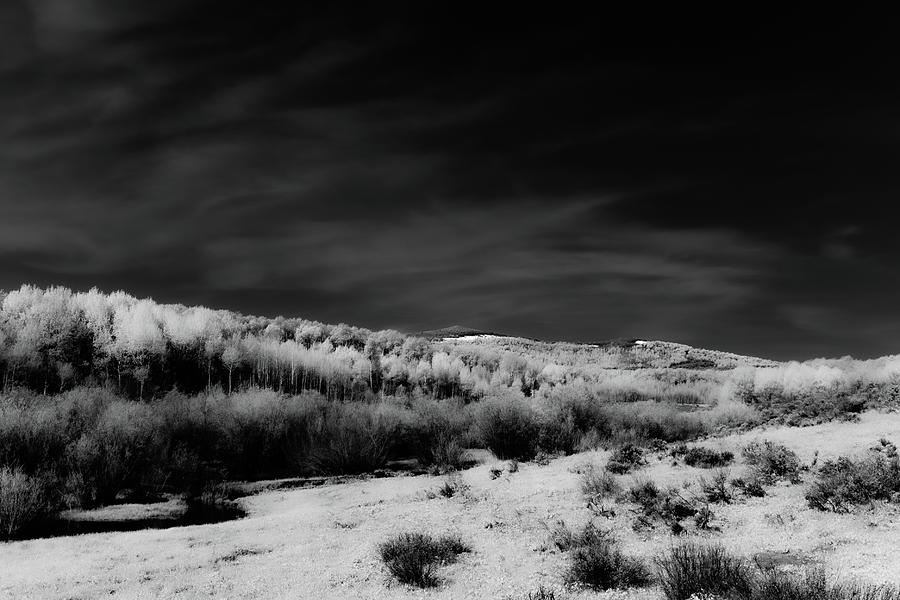 Aspen Glow 3 Photograph by Peter Ramirez - Fine Art America