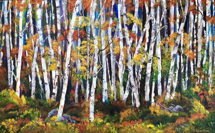 Aspen Grove Painting by Kathy Tranmer | Fine Art America