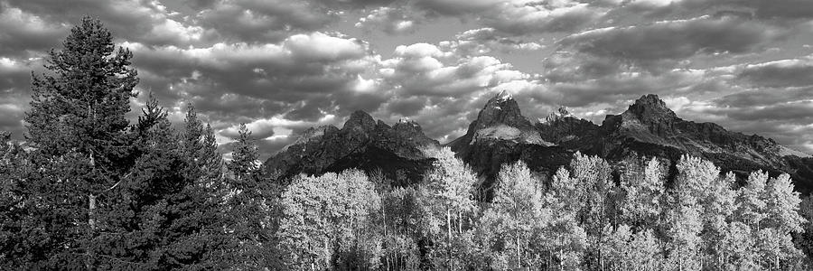 Aspen grove with mountain range in the background, Teton Range, Grand Teton National Park, Wyoming,  Photograph by Panoramic Images