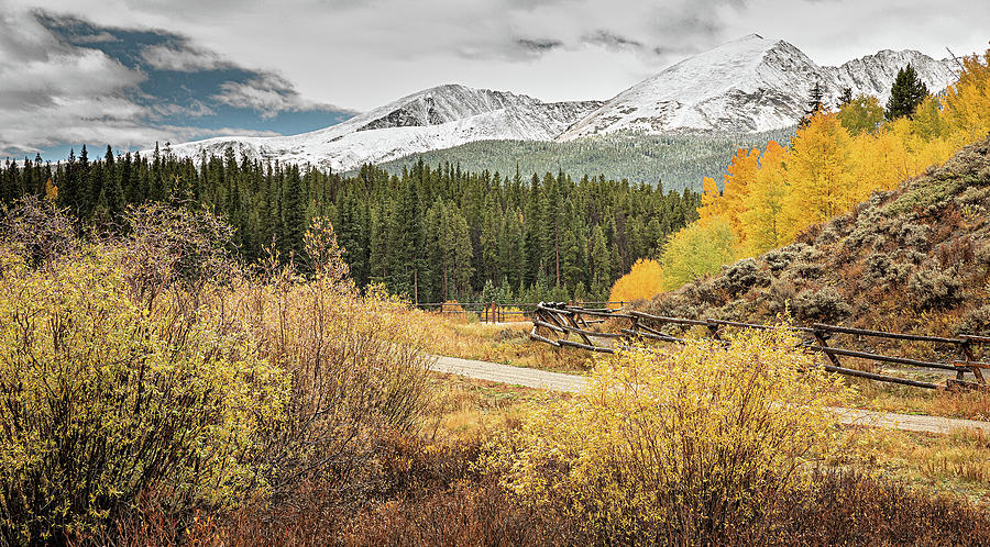 Aspen Hill Photograph by Jeffrey Ewig - Fine Art America