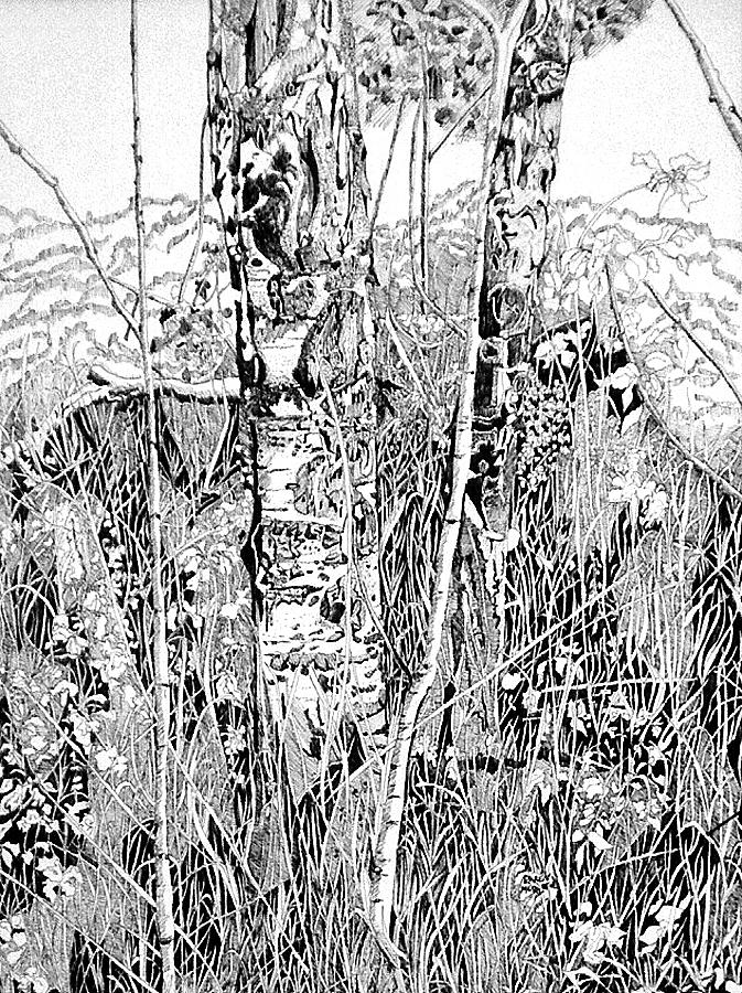 Aspen in the Woods Painting by Karen Merry