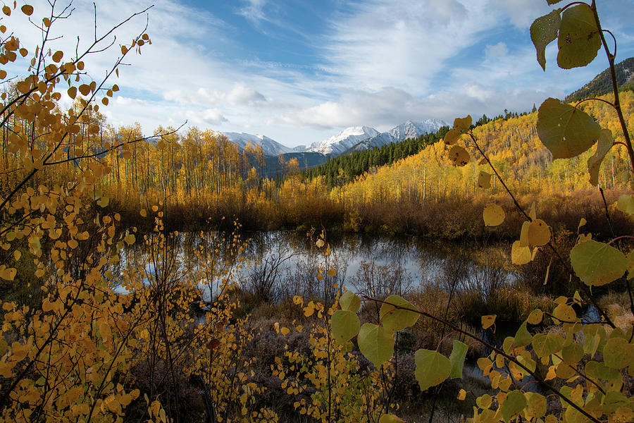 Aspen Leaf Framing of Autumn Landscape Photograph by Cascade Colors