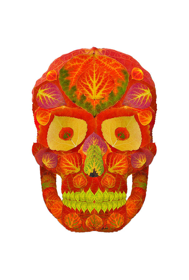 Aspen Leaf Skull 16 Digital Art by Agustin Goba