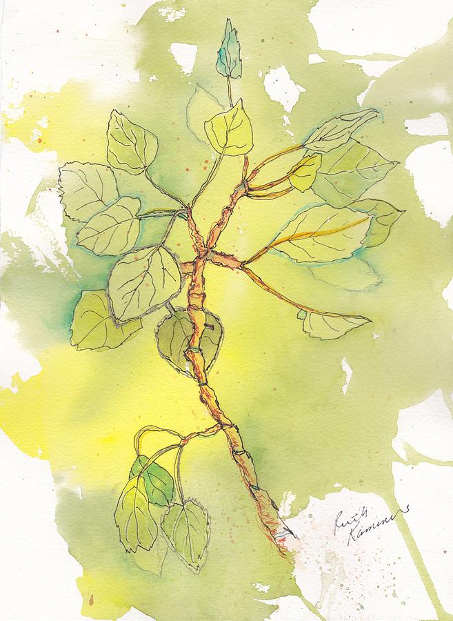 Aspen Leaves Painting by Ruth Kamenev