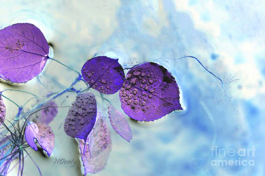 Aspen Leaves with Bubbles-Abstract Photograph by Natalie Dowty