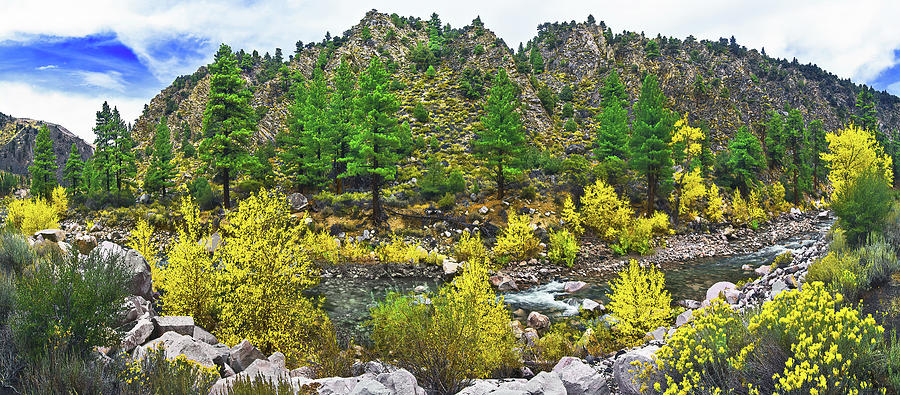 Aspen Lined River, Walker River, Eastern Sierras, Nevada/California Photograph by Don Schimmel