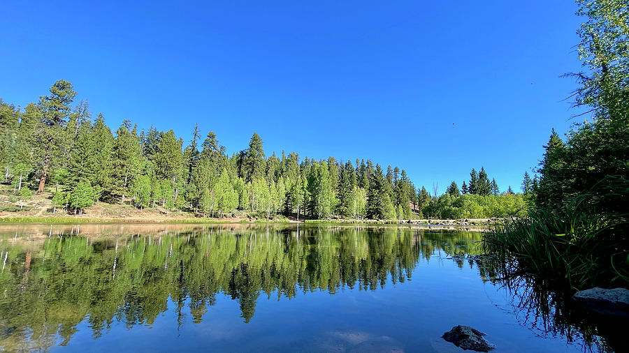 Aspen Mirror Lake Photograph by Donald Chen - Fine Art America