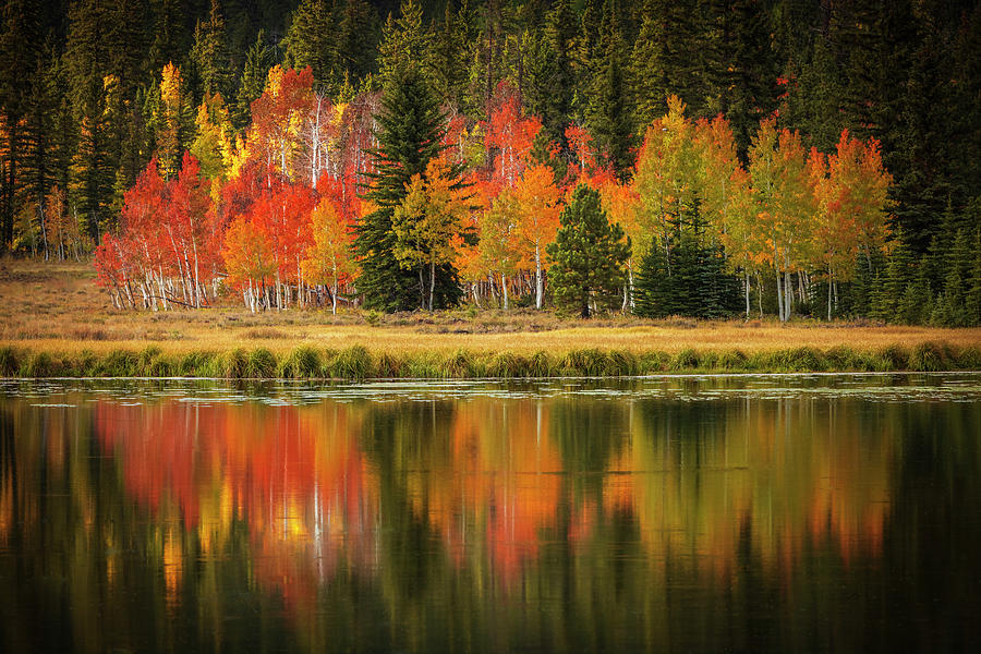 Aspen Mirror Lake Photograph by Johnny Adolphson | Pixels