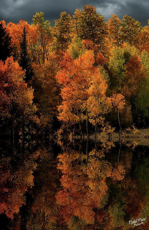 Aspen reflections by A Hint of Color Photography Aspen reflections by A Hint of Color Photography