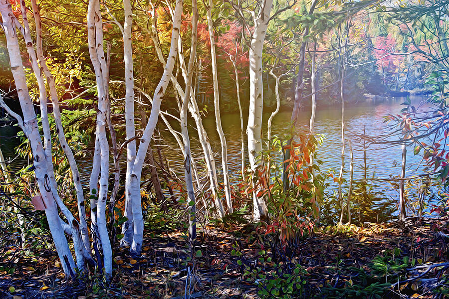 Aspen trees in the fall Mixed Media by Tatiana Travelways Aspen trees in the fall Mixed Media by Tatiana Travelways