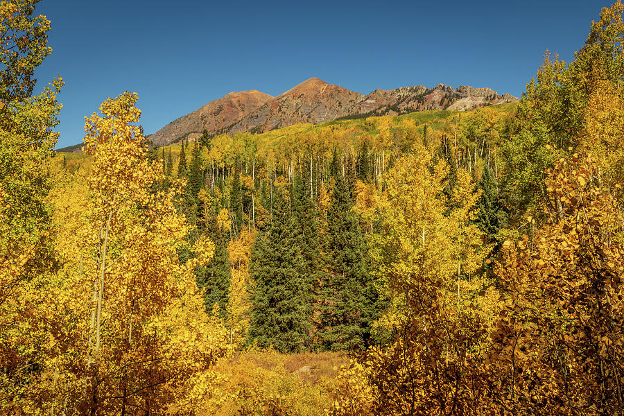 Aspens and Mountains Photograph by Jack Clutter