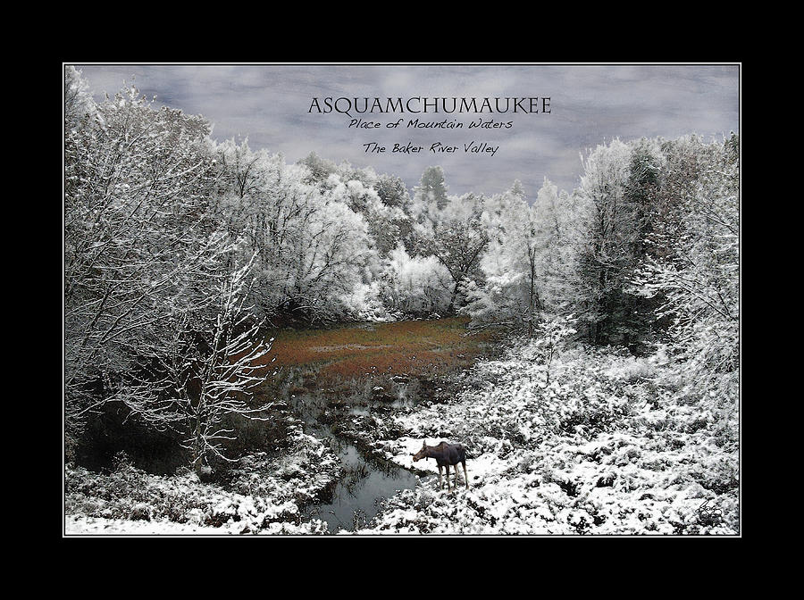 Asquamchumaukee Place of Mountain Waters - Moose in Oxbow Poster Photograph by Wayne King