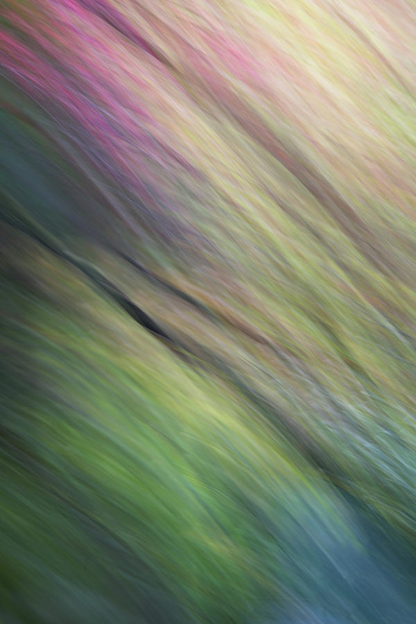 Assabet River Spring Abstract Photograph by Kristen Wilkinson