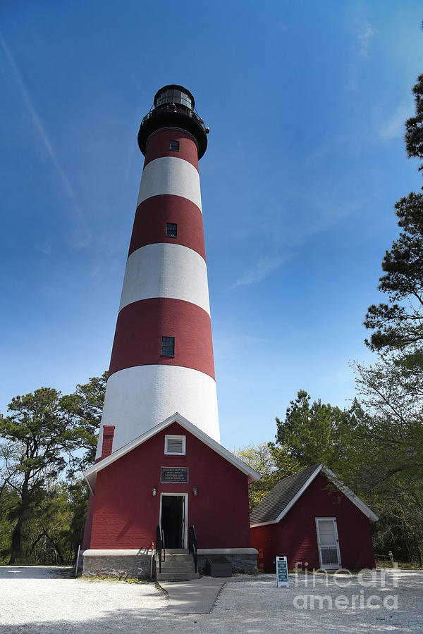 Assateague Lighthouse -  Chincoteague Virginia Photograph by Kerri Farley