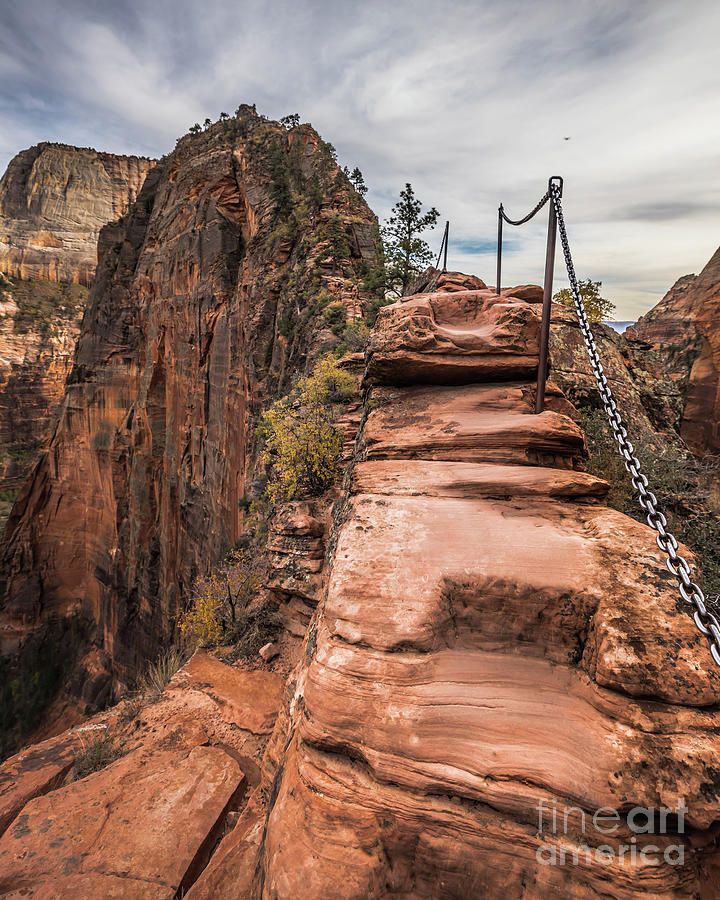 Assent to Angels Landing Photograph by Habashy Photography