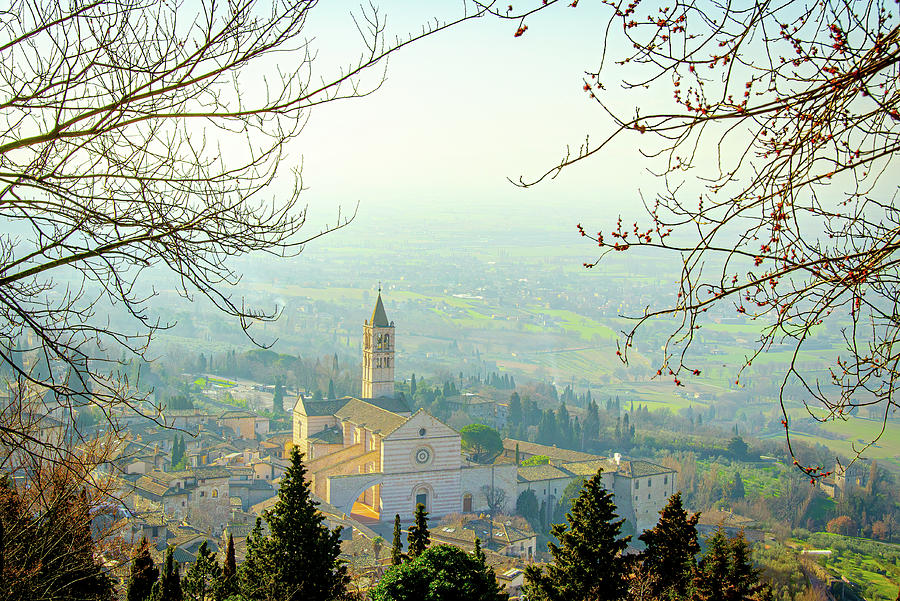 Assisi View Photograph by Douglas Wielfaert
