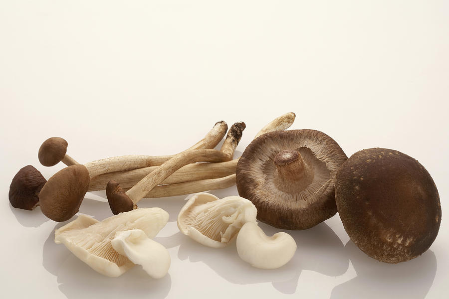 Assorted Chinese mushrooms Photograph by Blue Jean Images