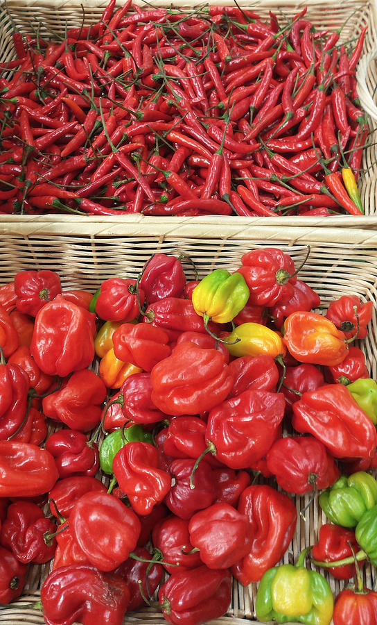 Assorted peppers on a market stall Photograph by Jean-Marc PAYET