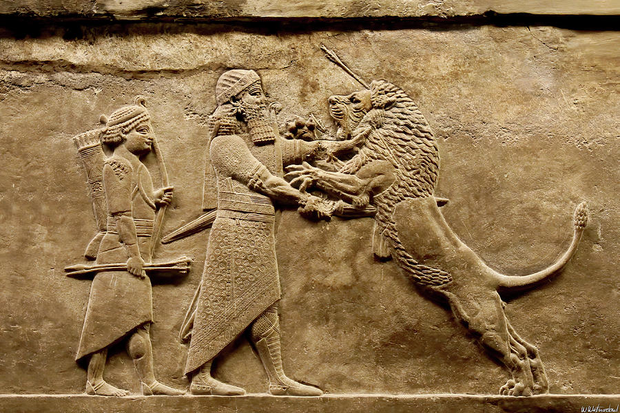 Assyrian Lion Hunt 01 Photograph by Weston Westmoreland