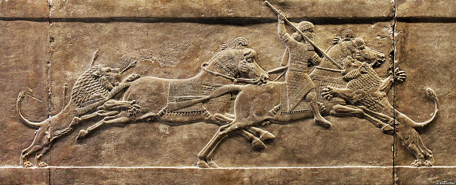 Assyrian Lion Hunt 02 Photograph by Weston Westmoreland