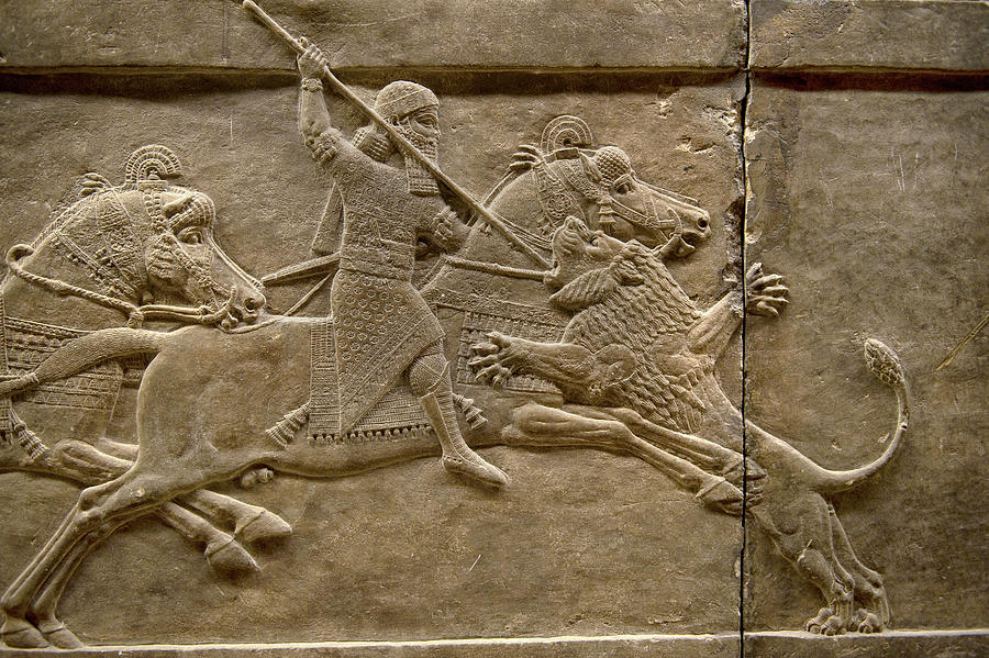 Assyrian relief panel of Ashurnasirpal lion hunting - 668-627 BC - British Museum #3 Photograph by Paul E Williams