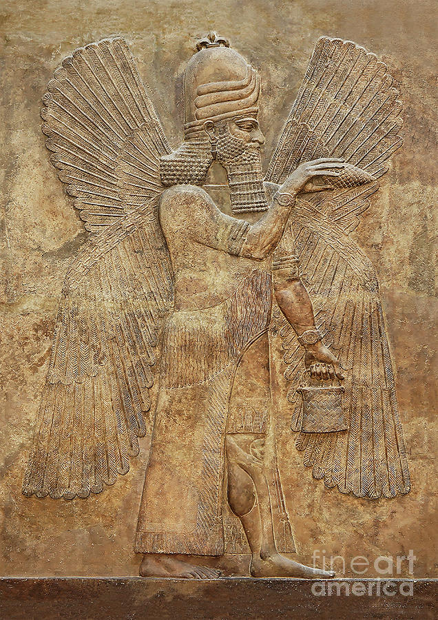 Assyrian Winged Genie Apkallu Babylon Akkadian Mesopotamian