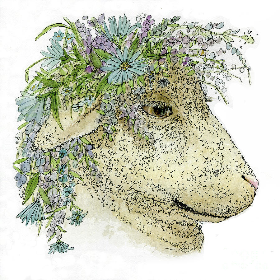 Aster Lamb  Painting by Laurie Rohner