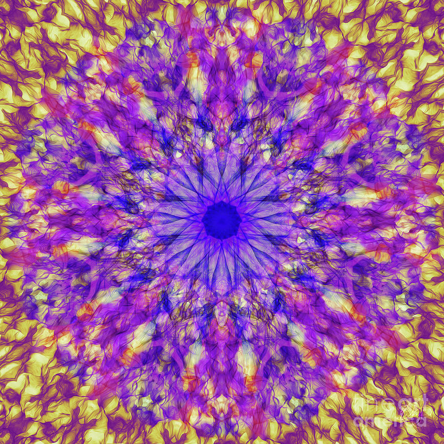 Asteraceae Digitalis Digital Art by Neece Campione
