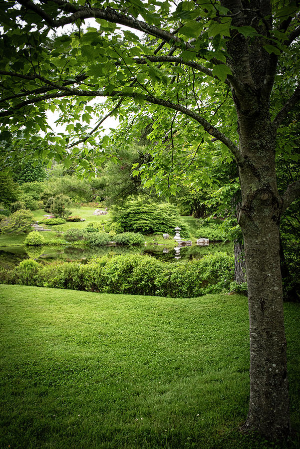 Asticou Garden-beautiful Landscape Photograph