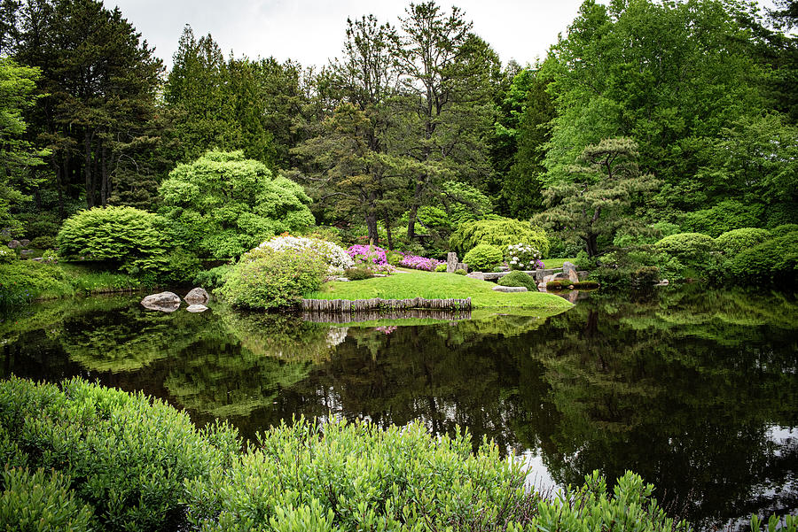 Asticou Garden-waterscape Photograph by Judy Wolinsky